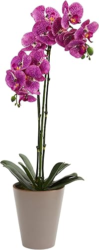 Casi Natural 24" Speckled Phalaenopsis Orquídea artificial arreglo,