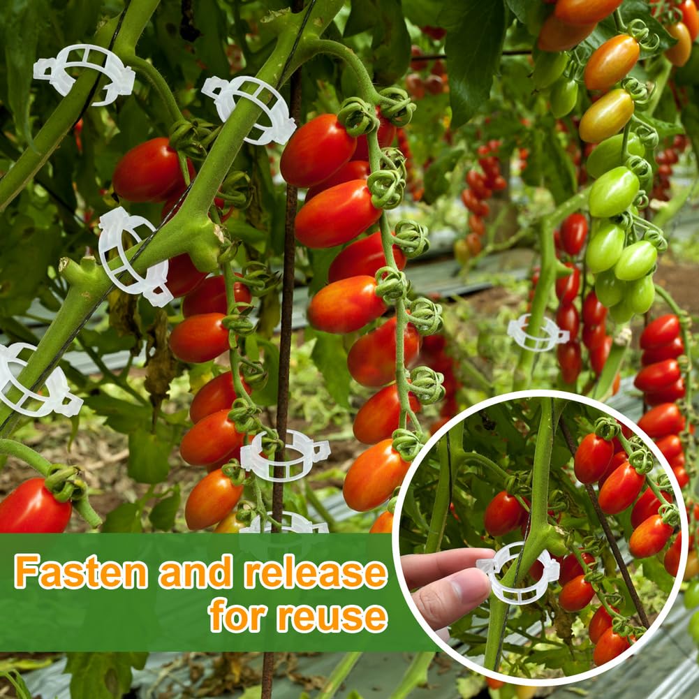 200 Stück Pflanzenstützen-Gartenclips, Tomatenclips, Ernte-Clips für Weingemüse, Befestigung von Tomaten, Paprika, Auberginen, lässt Pflanzen aufrecht und gesünder wachsen