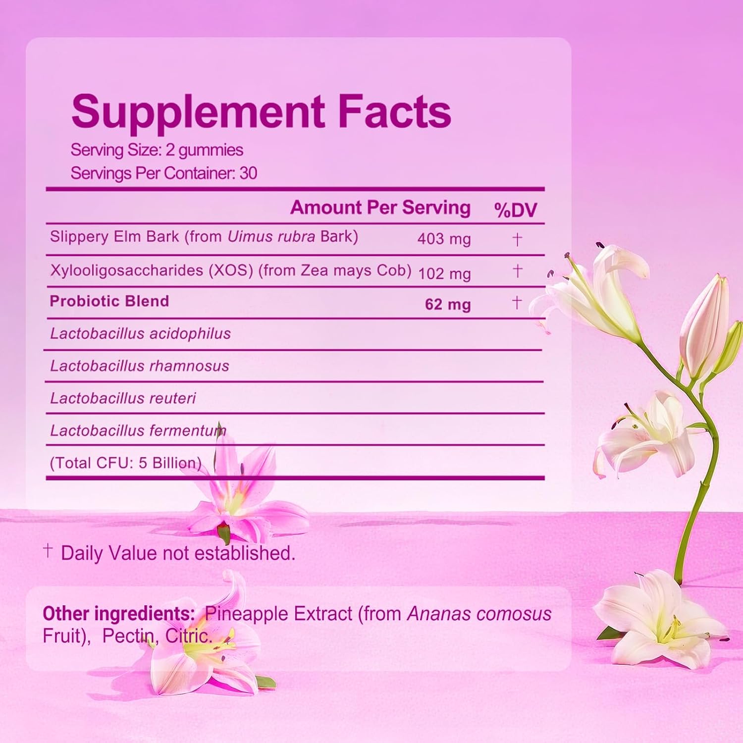 Her Juicy Feminine Probiotics Gummies for Women with Slippery Elm - Pineapple Flavor, pH Balance & Immune Health Support - Digestive & Feminine Support - Vegan Supplement, 60 C - Image 2