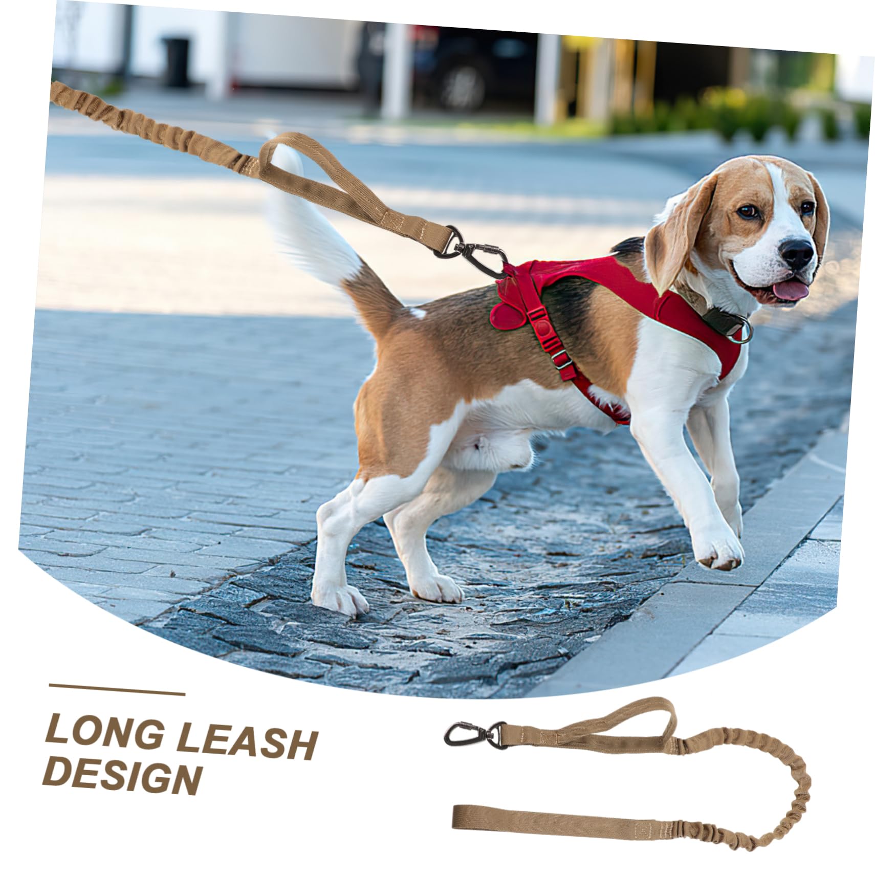 Beavorty Guinzaglio Da Addestramento Per Cani in Nylon Regolabile Da 3 Pezzi Robusto Confortevole E Con Rilascio Rapido Per Attività Allaperto