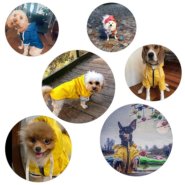 Foto 6 de 7 de Pethiy - Elegante Chubasquero para perros