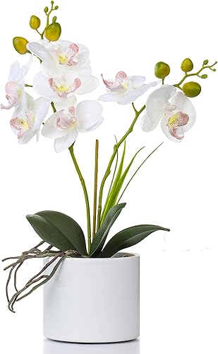 Jusdreen Bonsái artificial con jarrón, arreglo floral de orquídeas vívidas, maceta para decoración del hogar y la oficina, centro de mesa,