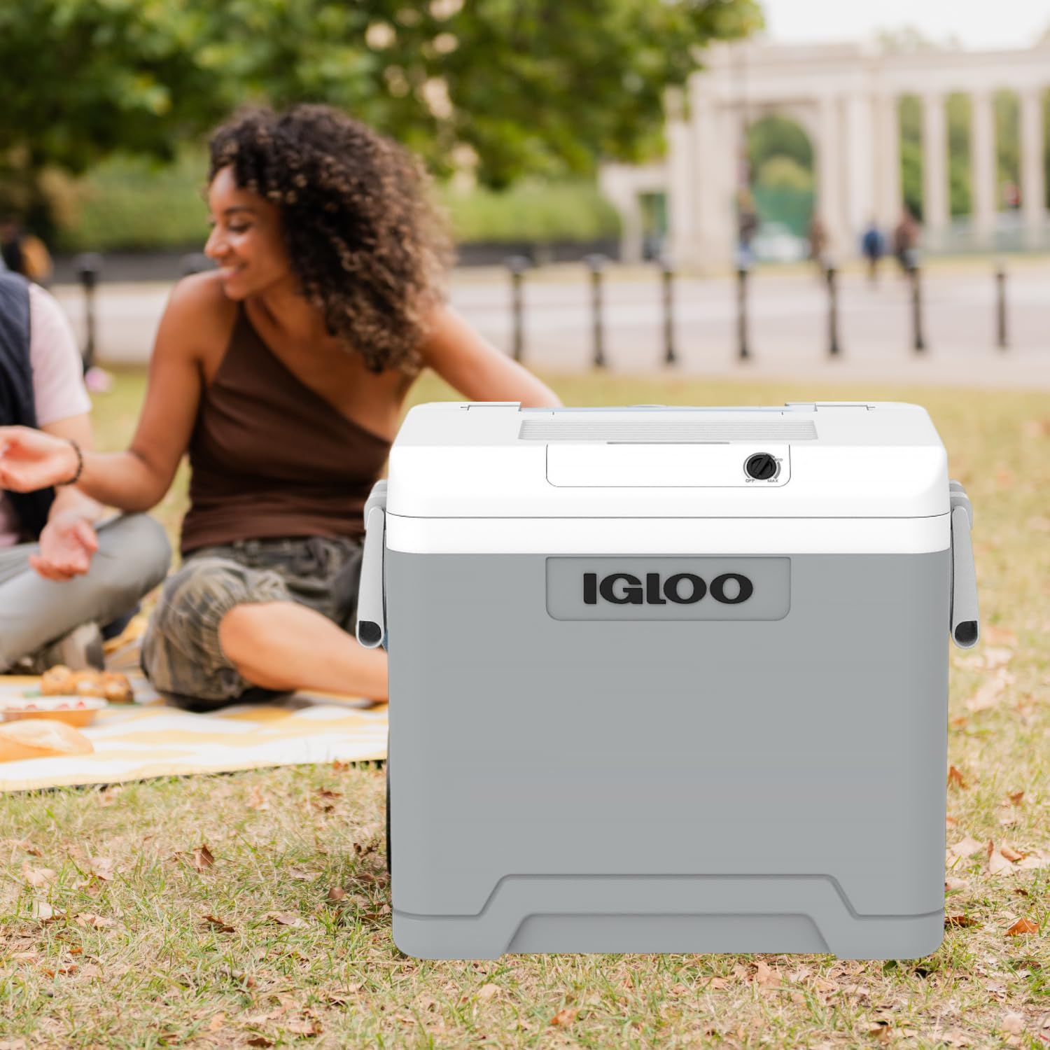 IGLOO IE42 Frigo Elettrico 12V 230V 42L Mini Frigorifero Compatto per Auto Campeggio