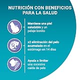 Ver la foto 3