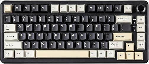 B75 Mechanical Keyboard,75% Layout with Knob,Hot Swappable RGB Backlit Gasket Mounted, Creamy Typing, Double-Shot PBT Keycaps,Cherry Profile,for Win/Mac (Black, Blue Grey Tactile Switch)