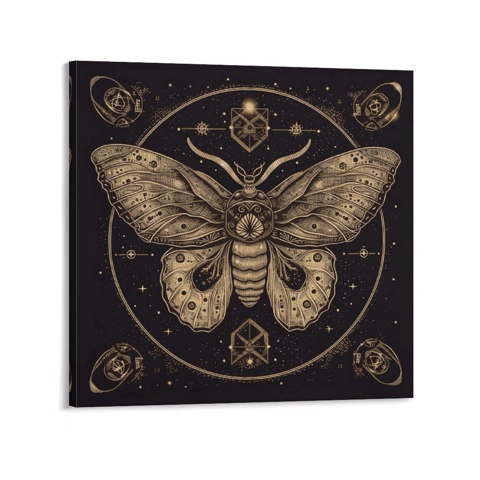 KLOPH Moth Canvas Wall Art for Living Room 08x8inch Modern Artwork Painting for Bathroom Hanging Canvas Prints Aesthetic Wallart for Bedroom Kitchen Office Wall Decor