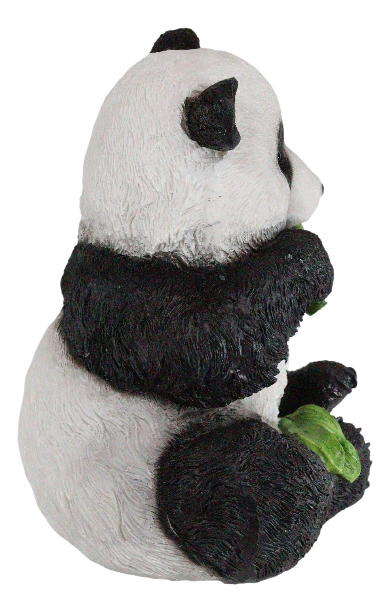 Amazon.com: Ebros Realistic Lifelike Adorable China Giant Panda