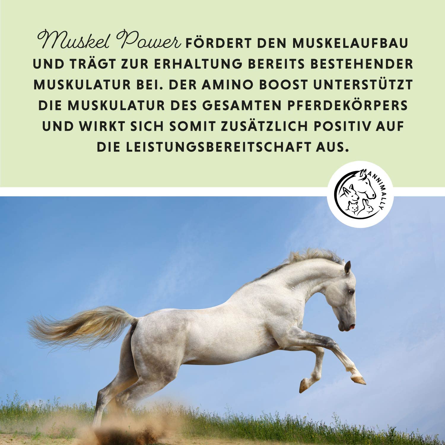 Annimally Muskelaufbau Pulver für Pferde 700g mit Sojaprotein, Lysin, Carnitin, Threonin, Methionin - Amino Zusatzfutter für die Stärkung der Muskulatur beim Pferd - Alternative zu Liquid