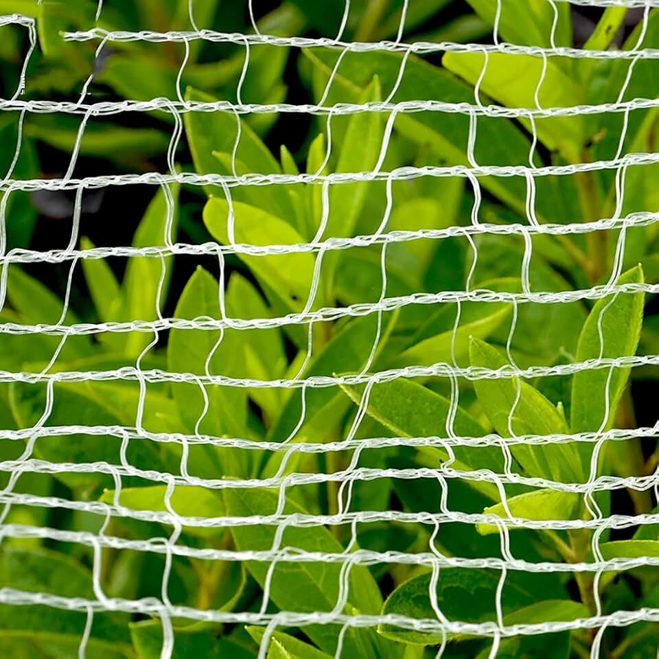 fruit tree netting for squirrels