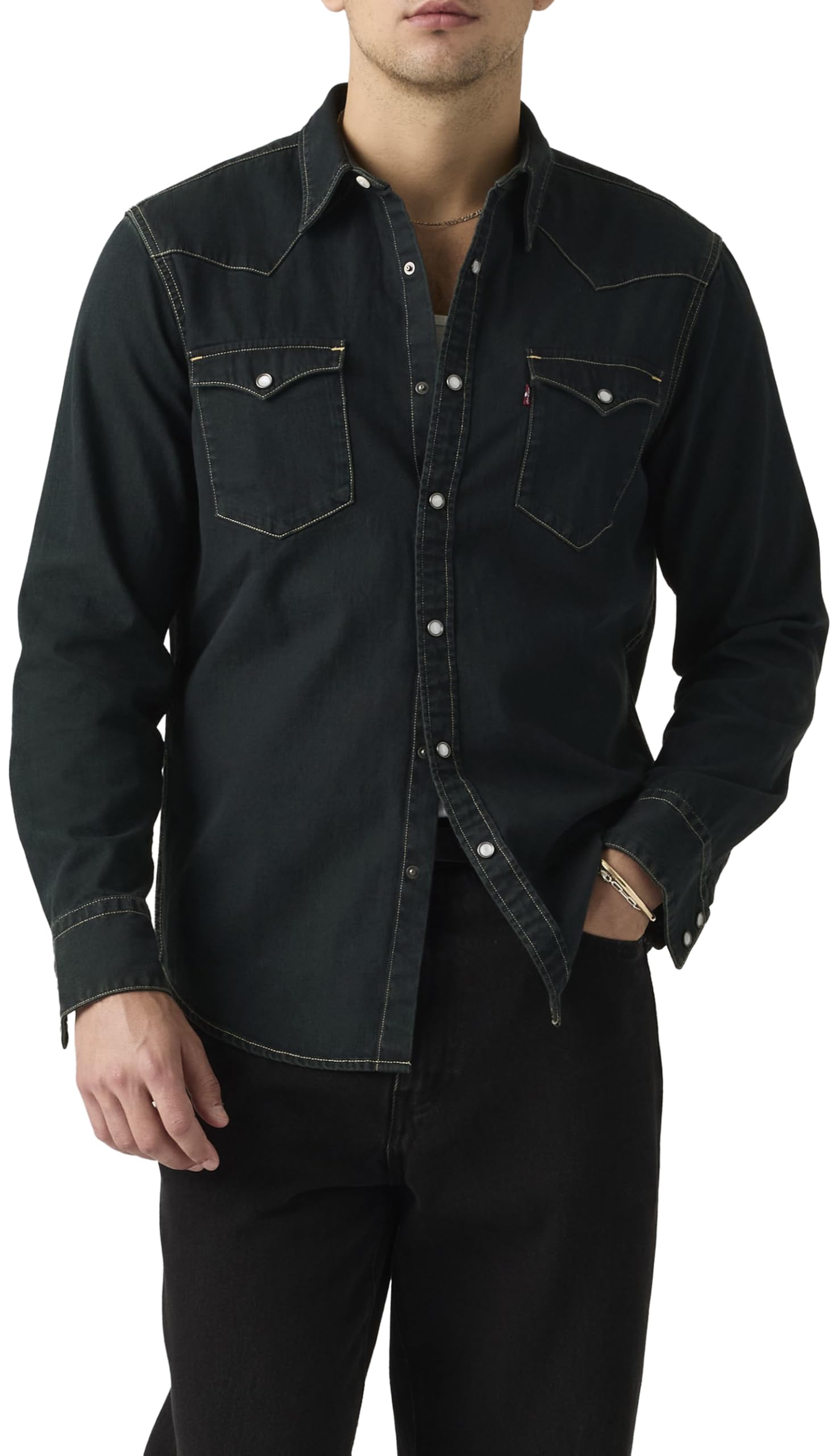 Levi's Barstow Western standardowa koszula męska, Piękny popiół sprany, L