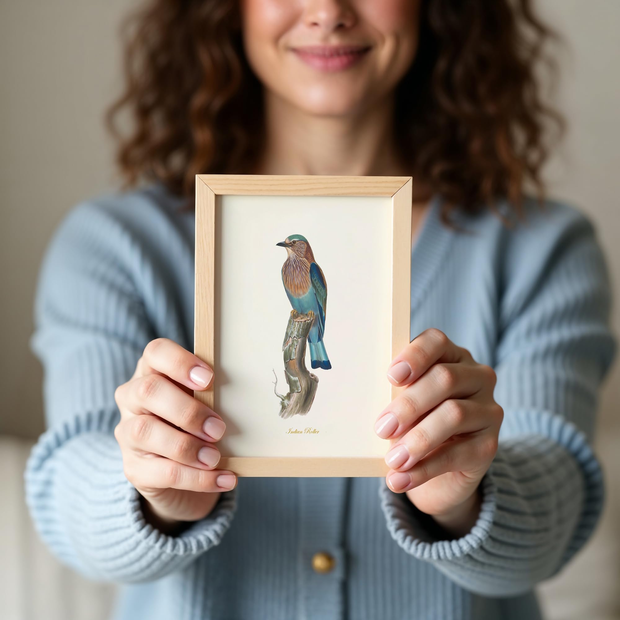Amazon.com: Vintage Bird Wall Art Prints Set of 9 - Audubon