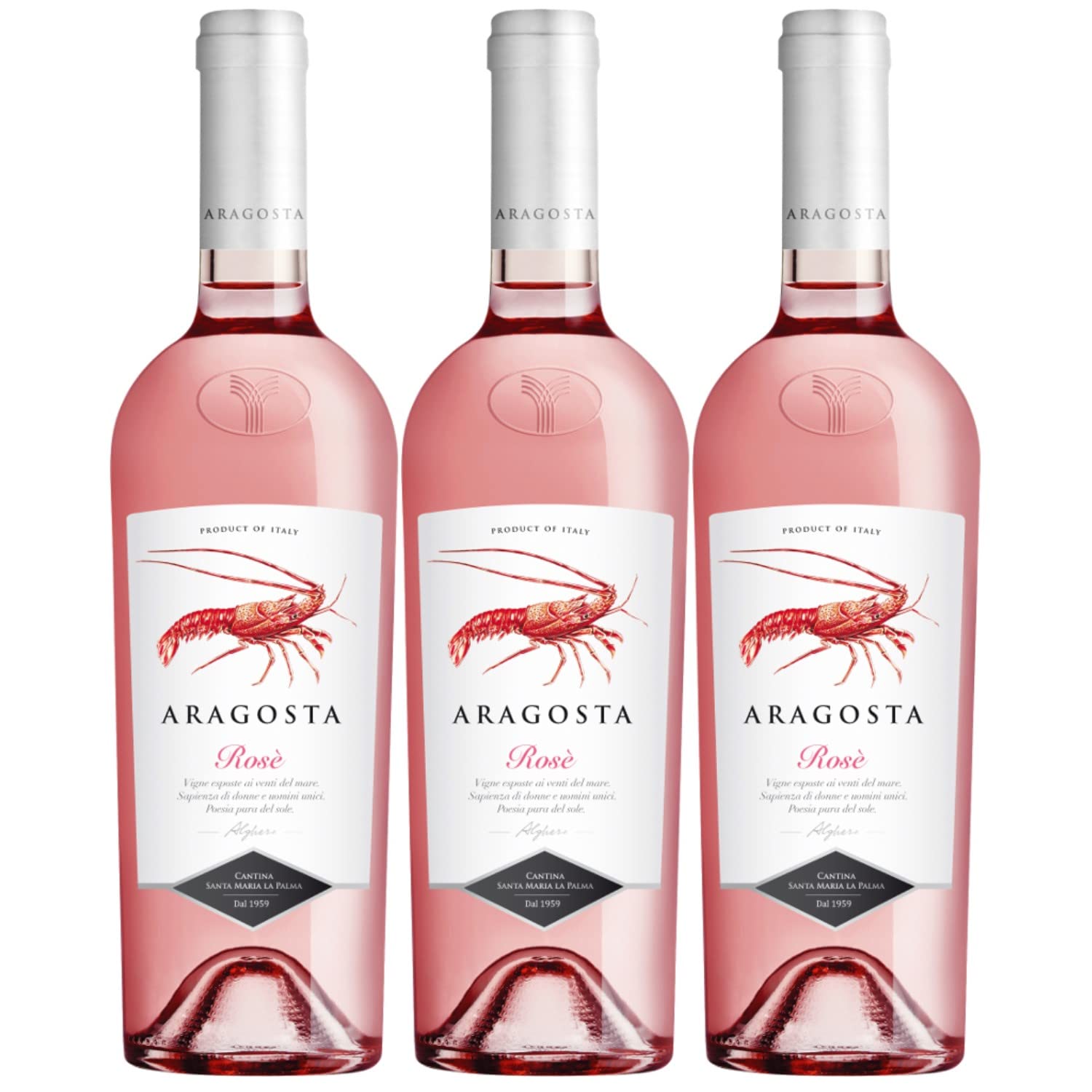 Aragosta rosé DOC Roséwein Wein trocken Italien I Visando Paket (3 x 0,75l)