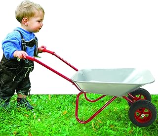 Kid Wheelbarrow Set Toddler Child Wheelbarrow Heavy Duty Metal Wheelbarrow for Kids Carretilla Double Wheel Barrow Gift for Kids,Child Indoor Outdoor(Silver)