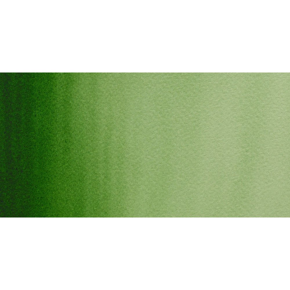 Winsor and Newton Cotman Watercolour : 8ml Tube Hookers Green LTG