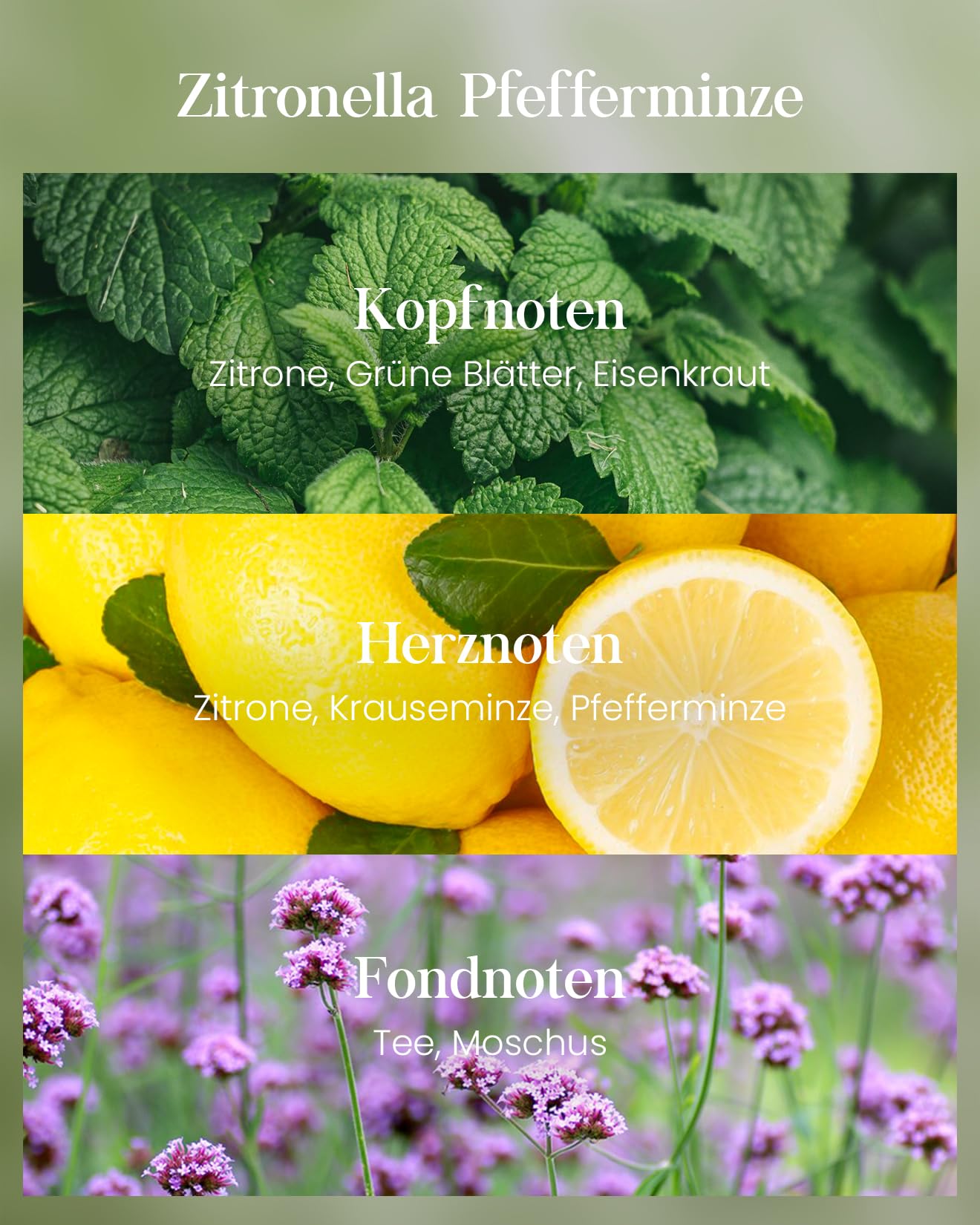 M&SENSE Citronella Kerze Outdoor groß, Pfeffer & Minze Kerzenduft, Sojawachs, 220h Brenndauer Natürliche Duftkerze für draußen mit Citronella, Mint Kerze für Sommer Garten Grill Terrasse | Für den Innen- und Außenbereich, 220 Stunden Brenndauer, natürlich