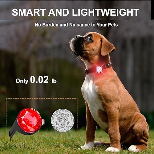 Miniatura 6 de Paquete de 2 luces recargables para collar de perro para la noche, luz multiusos mejorada para perro con banda de silicona 100% impermeable y