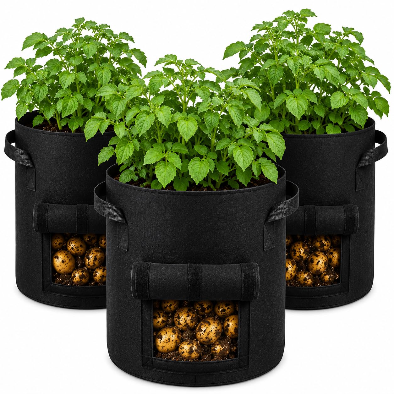 Floralcraft® Potato Grow Bags with Harvest Window – Pack of 3, 10 Gallon Fabric Planters with Handles for Potatoes, Vegetables, Tomatoes & Herbs
