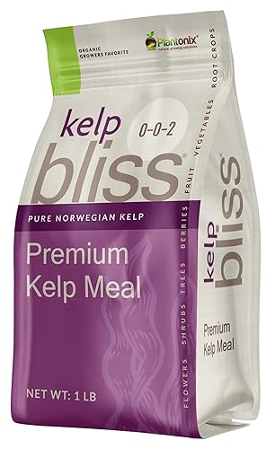 Miniatura 7 de Kelp Bliss (1 libra) + Char Bliss (1 cuarto de galón)  Fertilizante orgánico de harina de algas y biocarbón orgánico para plantas  Carbón de