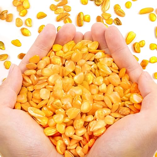 Miniatura 20 de QICQDRAM Conchas trituradas para manualidades de aproximadamente 1 libra (14.29 oz/14.28 onzas), pequeñas conchas naturales trituradas a granel