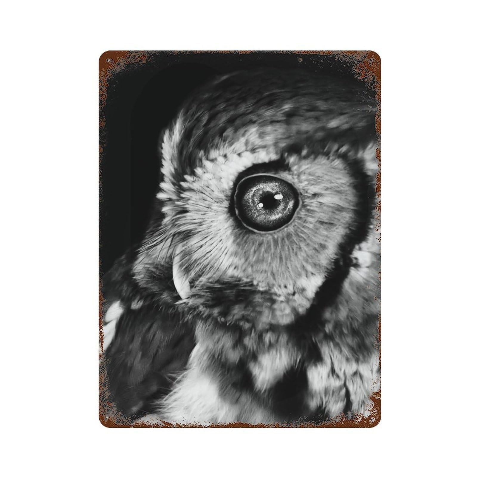 Rust Effect Owl with Galaxy Rusty Metal Tin Sign 15.7"x11.8", Industrial Home Decor for Living Room, Hallway And Home Decor