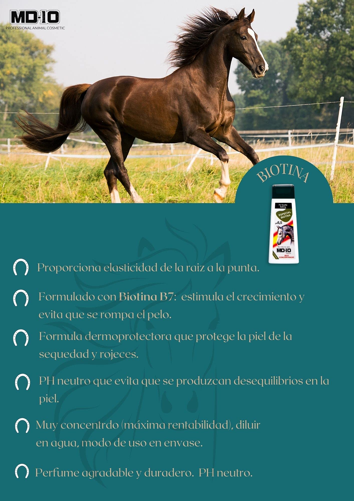 Champú para Caballos con Biotina - Estimula Crecimiento y Grosor del Pelo - Champú Suave Dermoprotector con Vitamina D-Pantenol - Contiene Aceite Esencial de Romero - pH 6.5-5 L - MD10 Collection