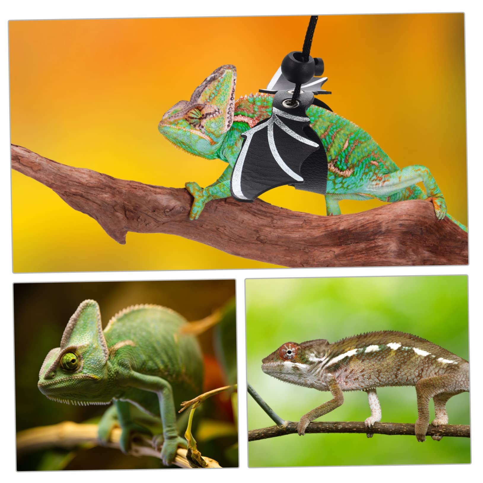 Yardwe 4sätze Lizard Mit Verstellbarem Gurt Und Hut Bartagamen Für Outdoor- Pinke Geschenkoption Für Reptilienliebhaber