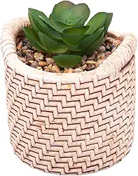 WOLFF - Cachepot de Cerâmica com Suculenta Palha 7,5cm x 7,5cm X 9,5cm