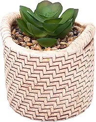 WOLFF - Cachepot de Cerâmica com Suculenta Palha 7,5cm x 7,5cm X 9,5cm