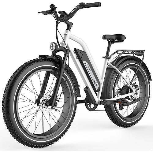 Himiway Cruiser Long Range Electric Bike, 750W 60MI 48V 17.5Ah Battery 26"x4" Fat Tire, 350LBS Payload 25MPH Top Speed, 7 Speed, UL Certified