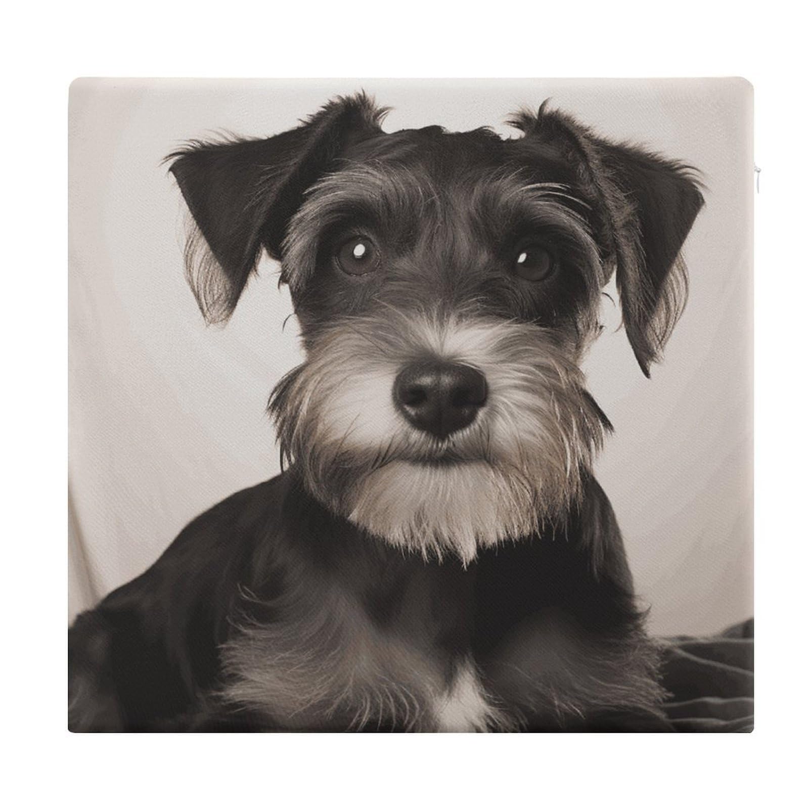 VstaDank Cute Schnauzer Square Cushion Cute Memory Foam Seat Cushions15x13In Comfort Meditation Floor Pillow Removable Cover Soft Stool Cushion Pillow for Balcony Tatami