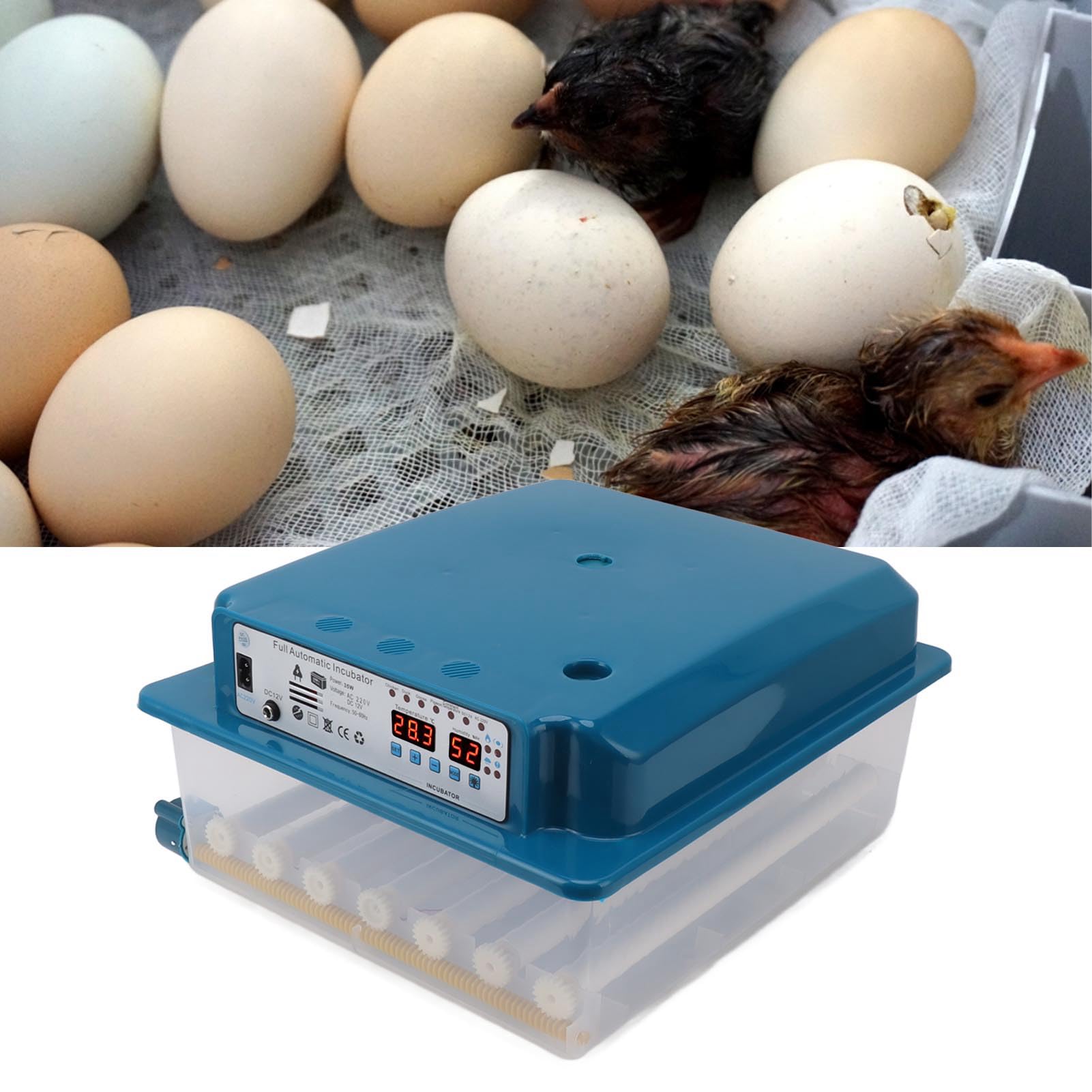 36 Huevos Incubadora ABS Máquina de Incubación de Aves de Corral Digital con Control Automático de Temperatura Sistema Eléctrico Dual para Pollos Ganso Pato Azul (Enchufe