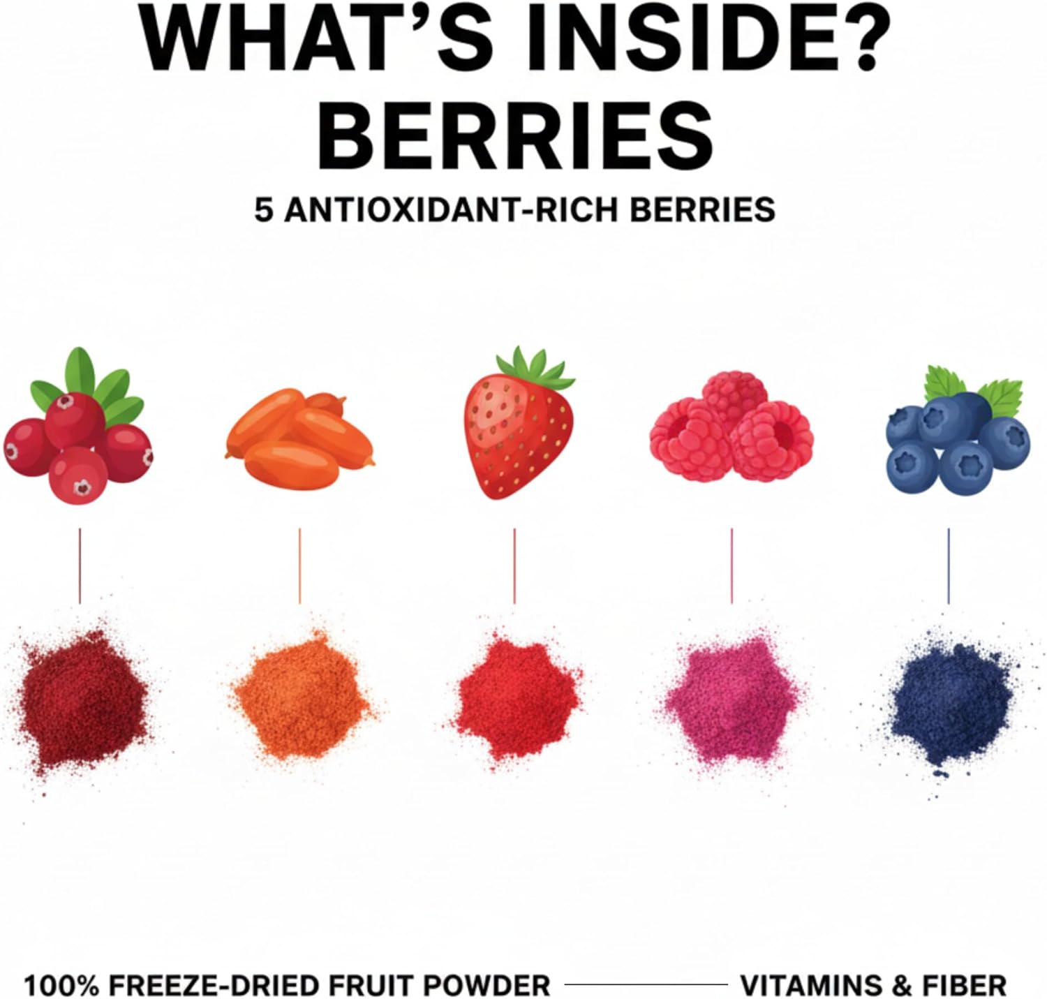 Berberine Berries Powder Organic – 97% Pure Berberine with Freeze-Dried Berry Variety