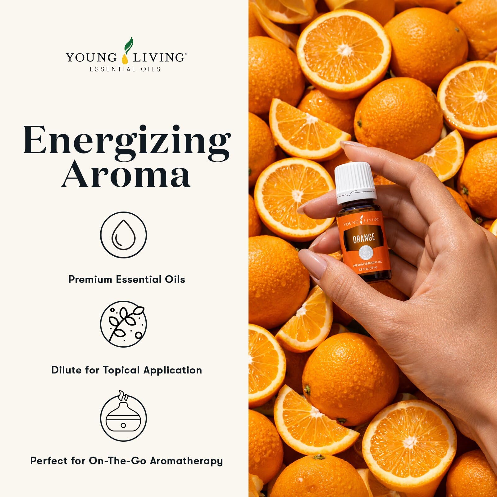 Amazon.com: Young Living Orange Essential Oil, 15 ml – Bright