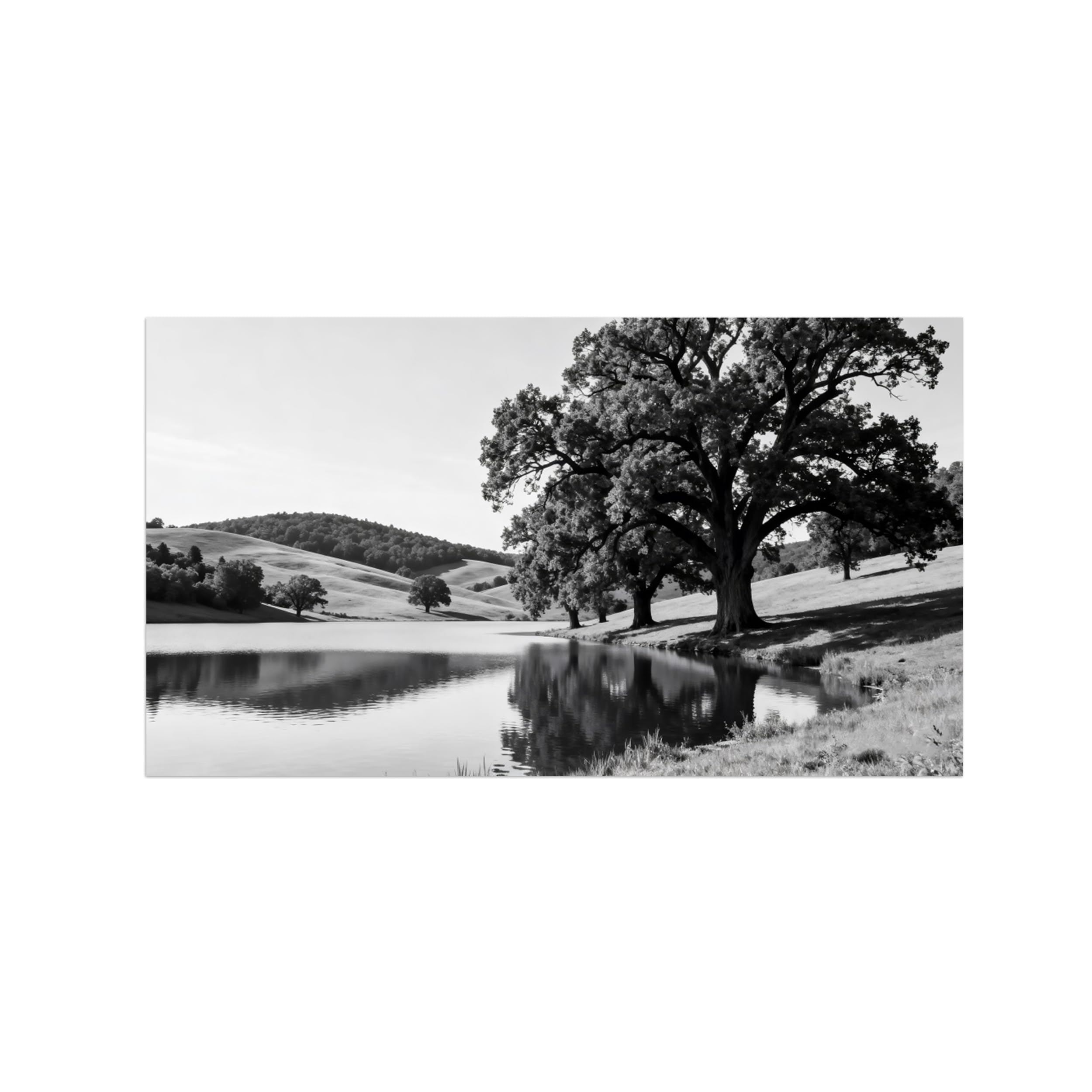 Lake Tree No.2 Black White Landscape Wall Art Prints 30x55cm Unframed