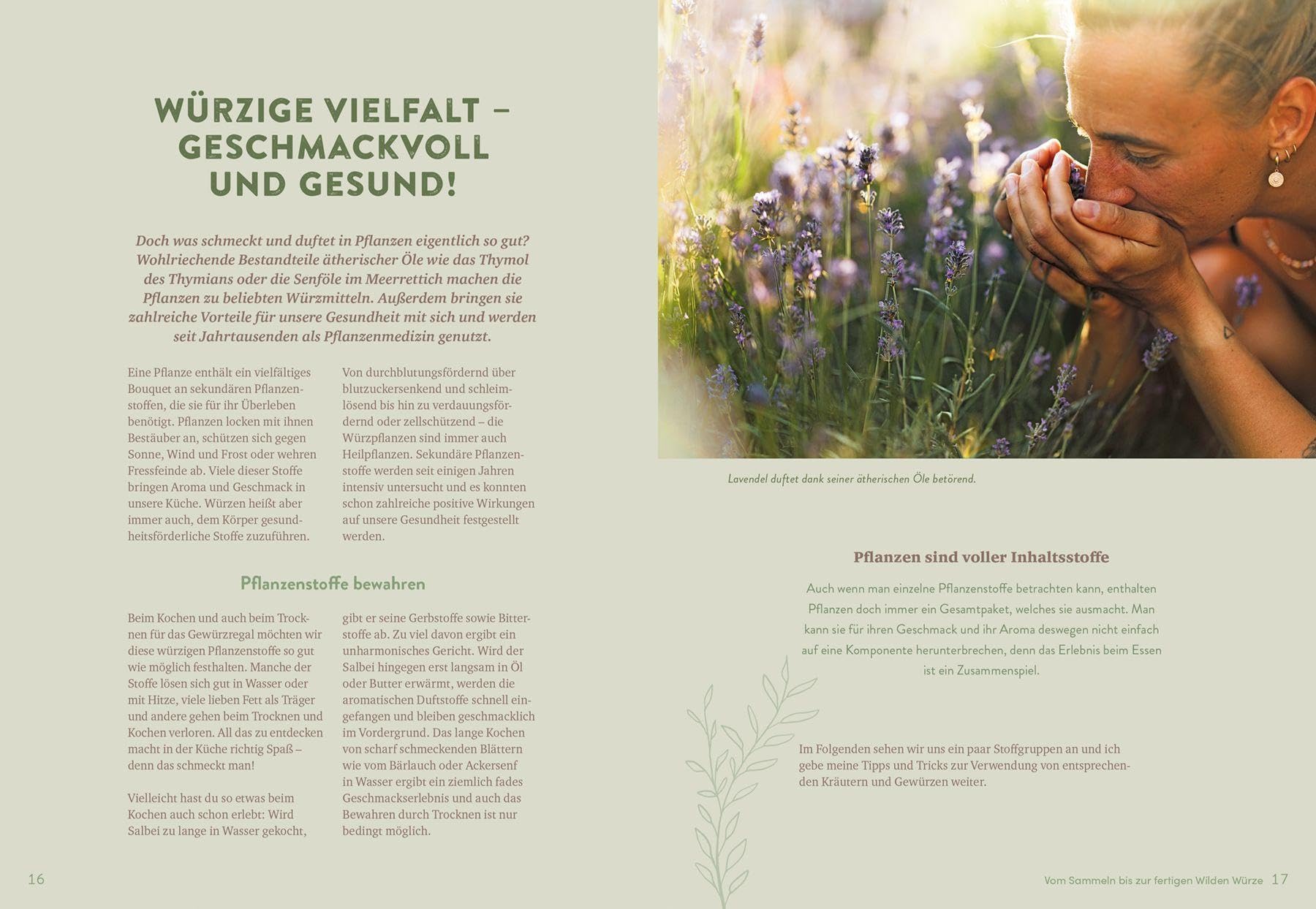 Wilde Würze: Raffinierte Gewürzmischungen aus Wild- und Gartenkräutern