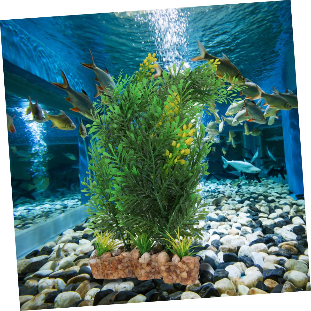Angoily 2stücke Künstliche Aquarienpflanzen Mit Realistischem Design Dekoratives Gras Für Süß Und Salzwasseraquarien Für Gestaltung Von Mikro-landschaften Und Einfach Zu Reinigen
