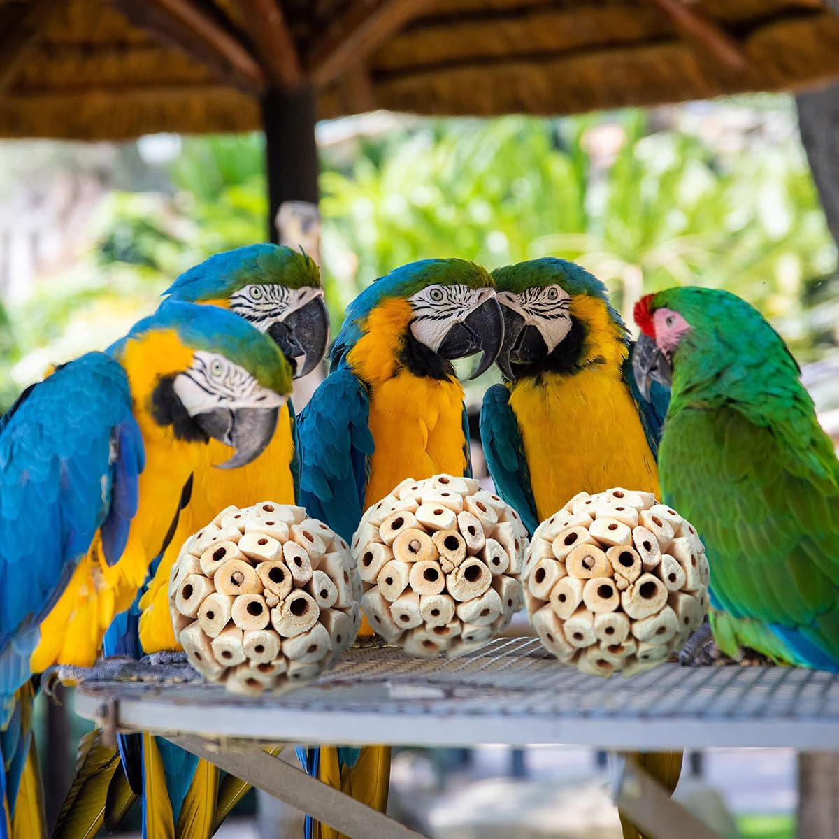 Amazon | 3個入り 鳥のおもちゃ インコ おもちゃ ソラボール オウム採