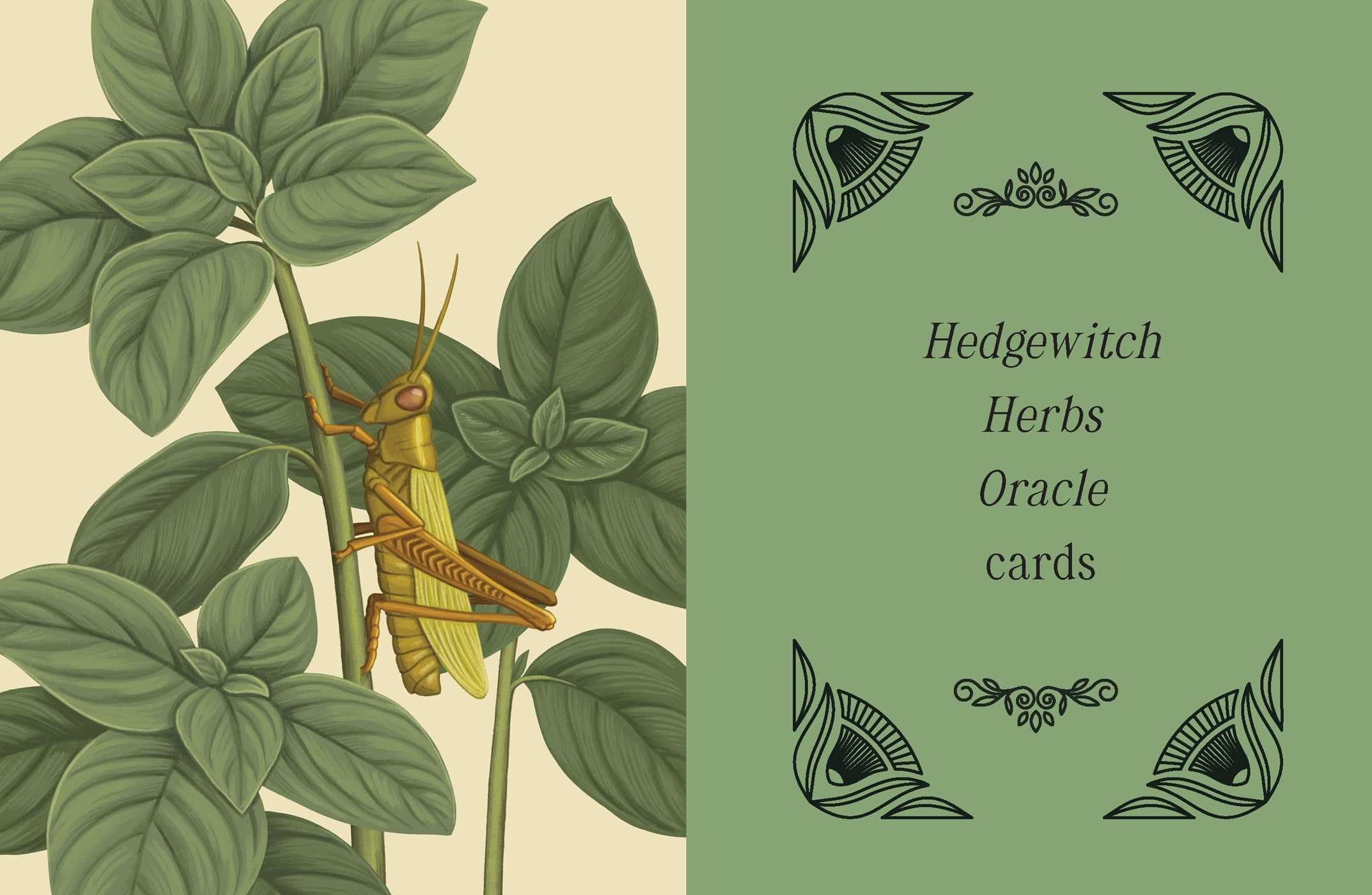 Kate Forsyth's Hedgewitch Oracle