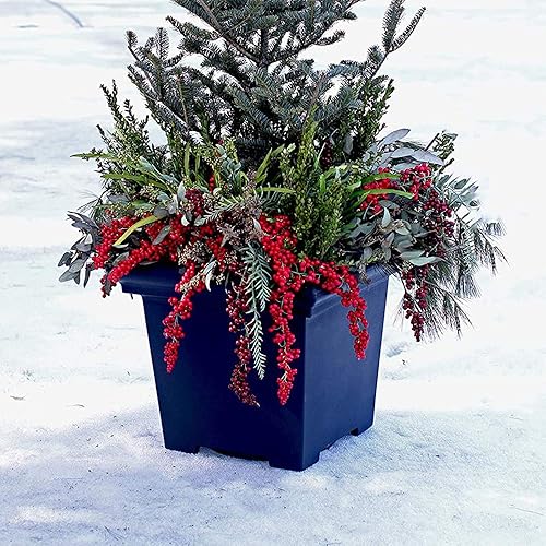 Miniatura 27 de The HC Companies Maceta cuadrada de terrazo con drenaje, macetas clásicas para plantas de exterior y plantas de interior, macetas grandes