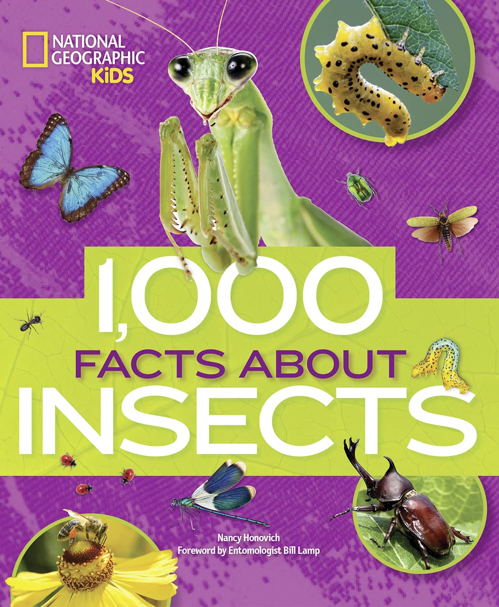 1,000 Facts About Insects by Nancy Honovich (Hardback Book)
