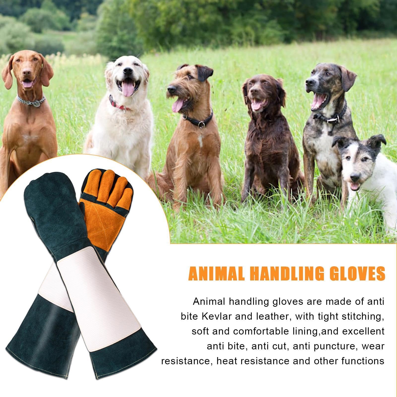 Guantes para manipular animales – Guantes para manipular caballos