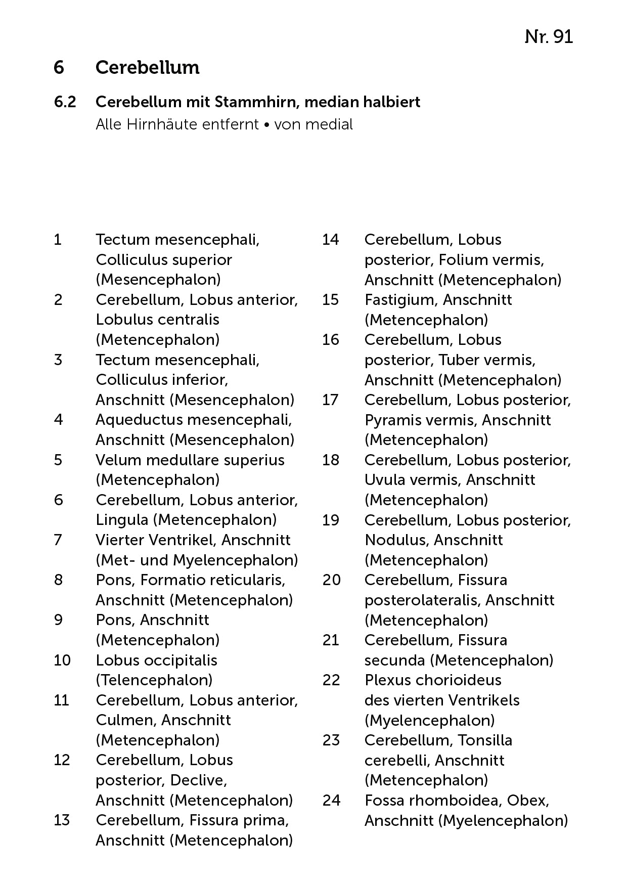 Lernkarten Neuroanatomie: Authentische Vermittlung der einzelnen Präparationsschritte auf 167 Lernkarten