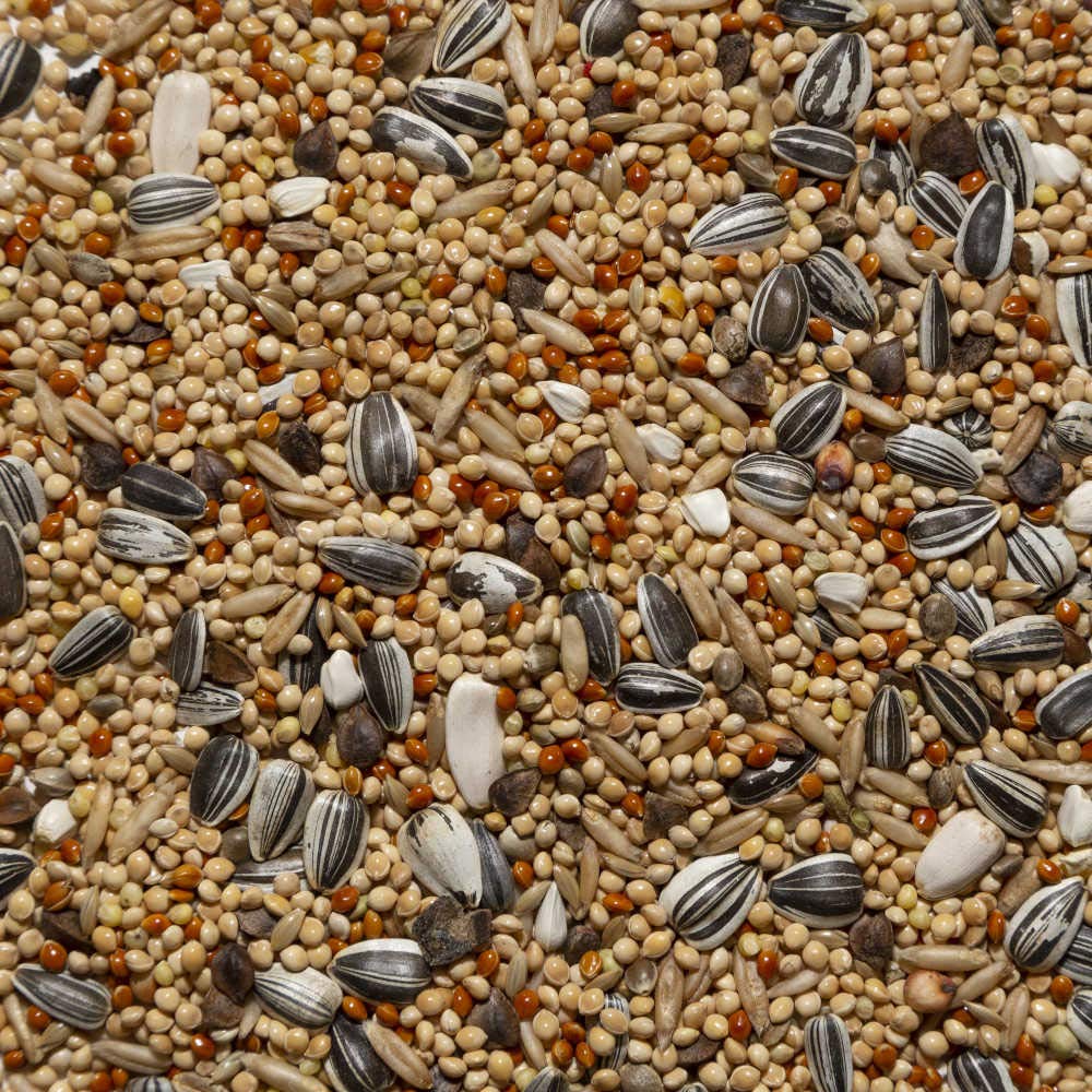 Il Contadino - Antichi Becchimi | MISCUGLIO per PARROCCHETTI | Formula Ricca di Semi Selezionati Adatta per Tutto L'Anno, No OGM, 100% Vegetale, Assenza di scarti. qualità Superiore (20 kg)
