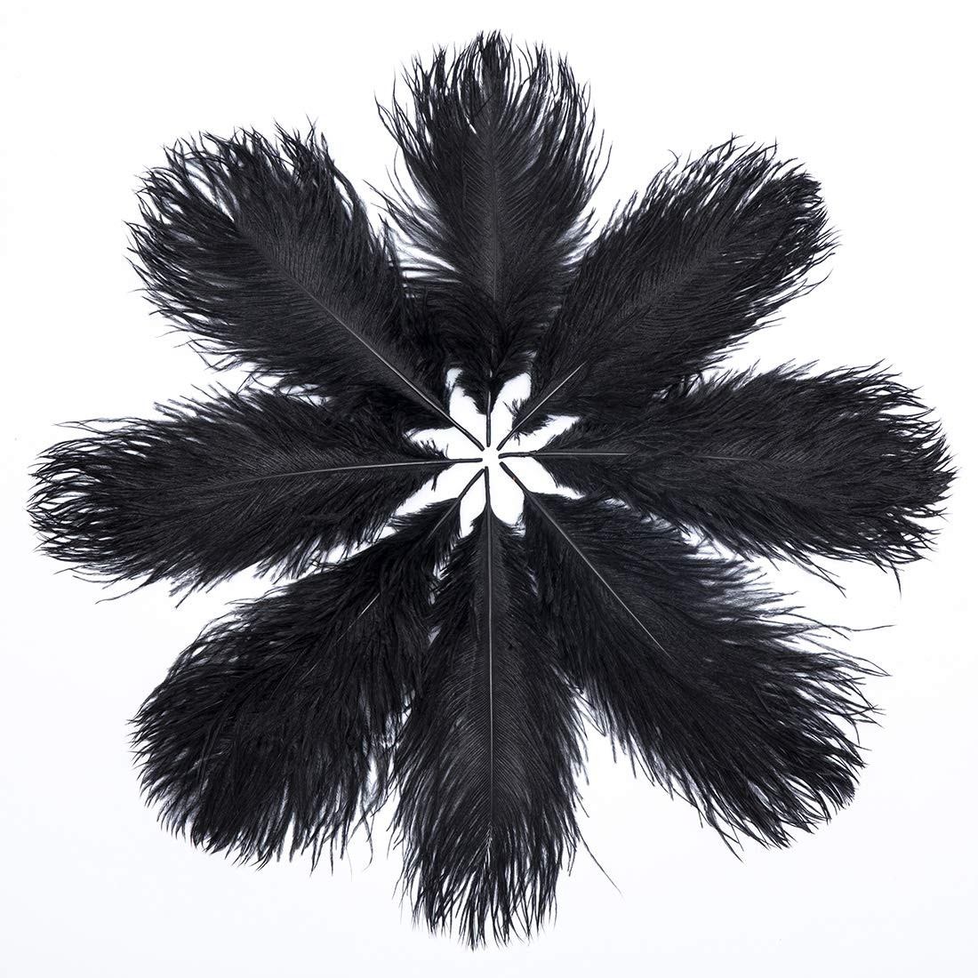 Hollosport 30PCS Bulk Black Ostrich Feathers 10-12 Inches for Centerpieces Party Wedding Home Decorations Dream Catchers Vases Crafts (Black)
