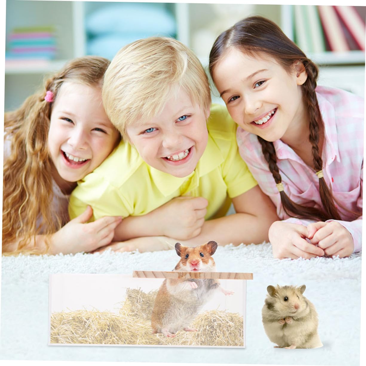 Acryl Hamsterbadewanne Sandkasten Durchsichtig Verschleißfest Für Kleintiere Sandbadewanne Kleines Haustierzubehör