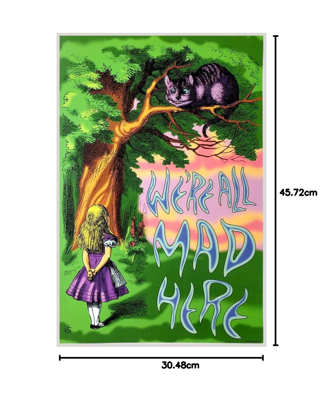 Alice in Wonderland Cheshire Cat Were All Mad Here Quote Cool