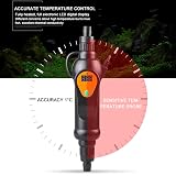 Ver la foto 3
