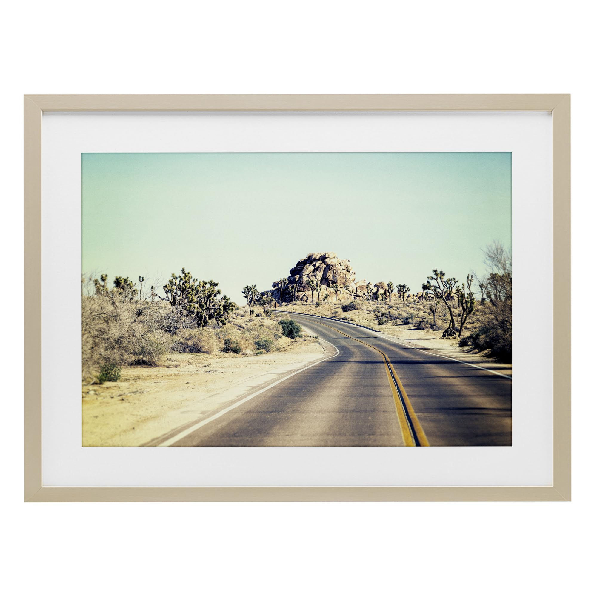 Affiche Joshua Tree Stupell Industries cadre blanc 17x23 cm