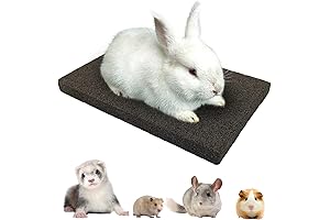 BNOSDM Rabbit Nail Scratcher