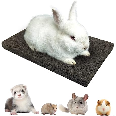 BNOSDM Rabbit Nail Scratcher
